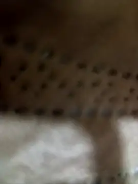 cheiodetesa