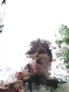 Toyjungee webcam