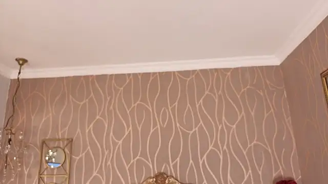 Shanelle__ webcam