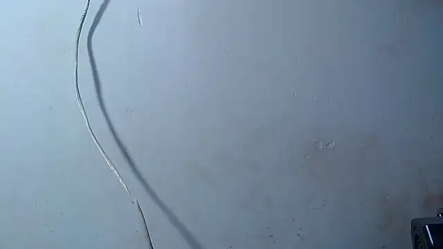 bulguehot webcam