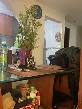 Carola-Ross webcam