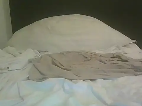 iodis webcam