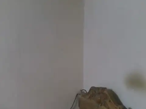 elpoop7305 webcam
