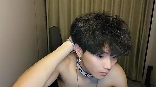 wssoo11 webcam