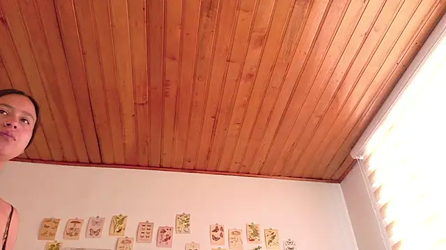 selva-salvaje webcam