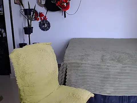 PaleVibes webcam