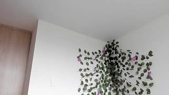 Laurensmith9 webcam