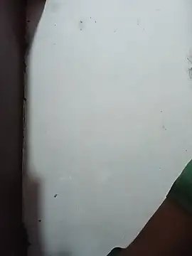 ShilpaSharma webcam
