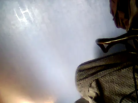 WOOLYMARK2507 webcam