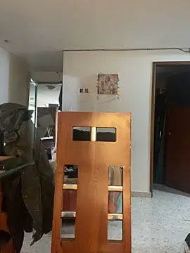 Carola-Ross webcam