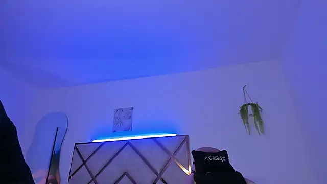 nenaarisk webcam