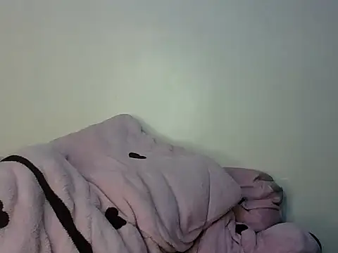 Fettysh webcam