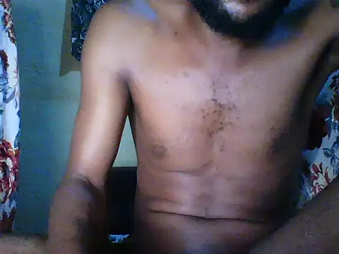 HomeBully webcam