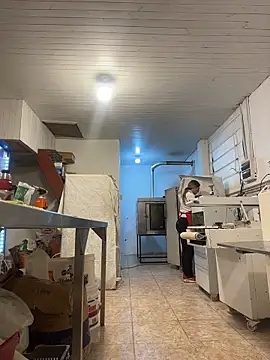 Gatitacarlita webcam