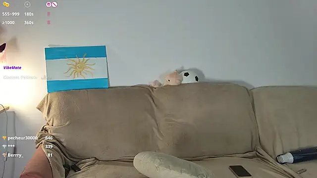KimArts webcam