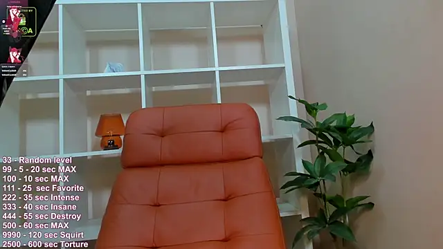 Naomi_Urban webcam