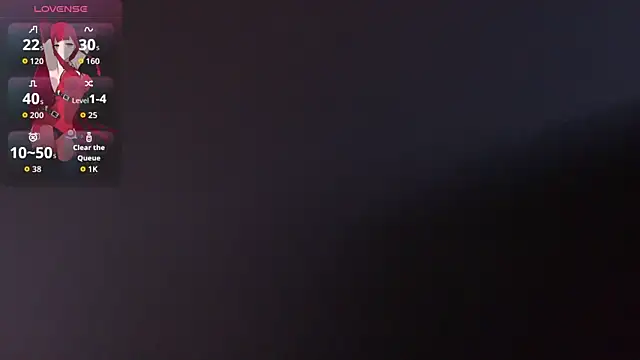 swag_hoe webcam