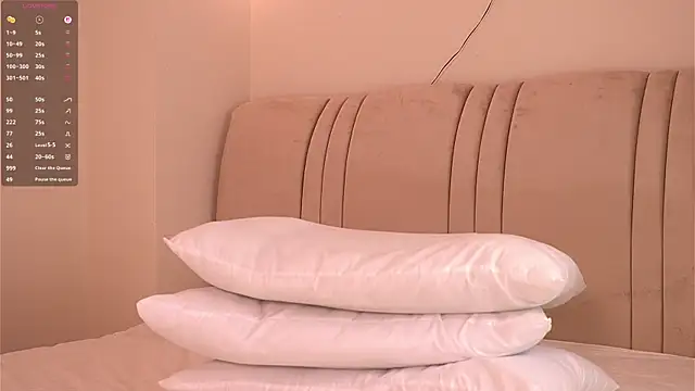 LanelleFreemyer webcam