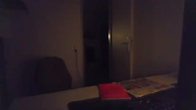 alpha-hunk webcam