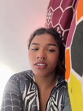 Modelo: cam11_07
