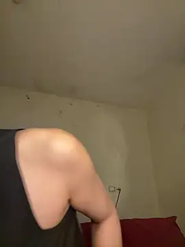 arabayla webcam