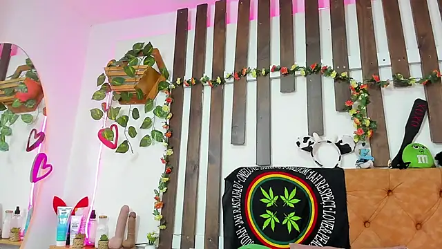 MeowMota_ webcam