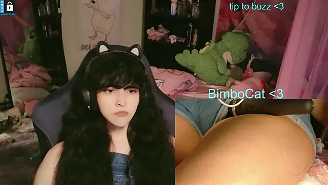BimboCat webcam