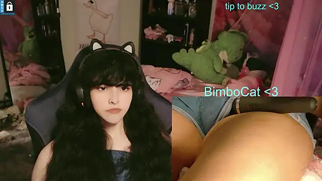 BimboCat webcam