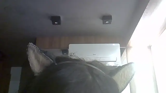 SkinnyKitten webcam