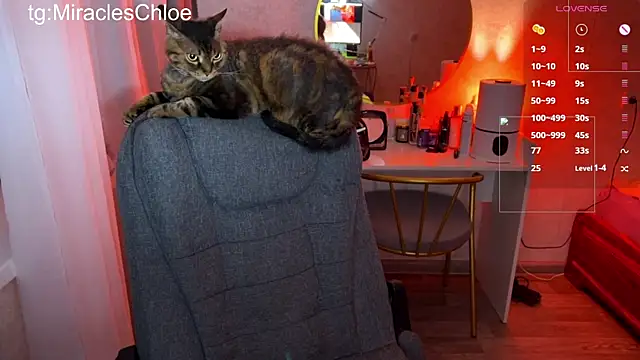 ChloeMillerMeow