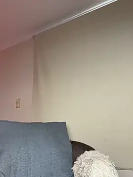Samispank