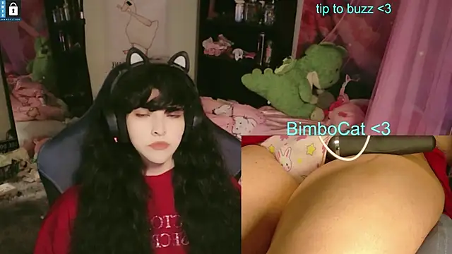 BimboCat webcam