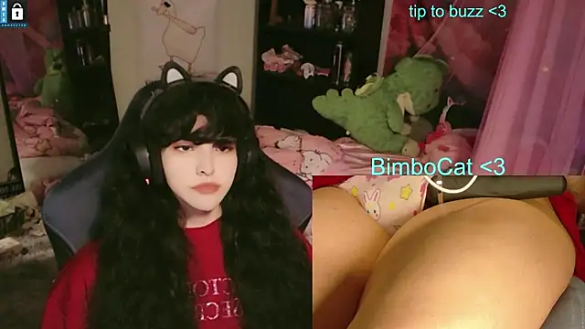 BimboCat webcam