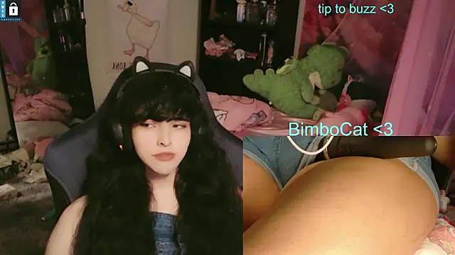 BimboCat webcam