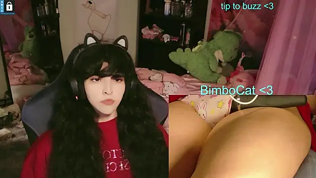 BimboCat webcam