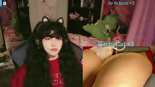 BimboCat webcam