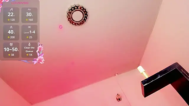 rosedewitt webcam