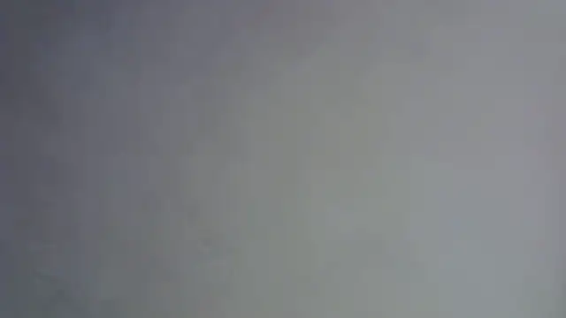 SkinnyKitten webcam