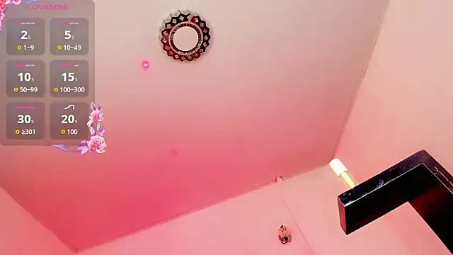 rosedewitt webcam