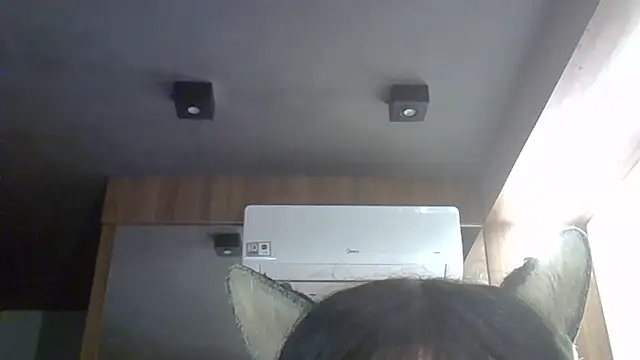 SkinnyKitten webcam