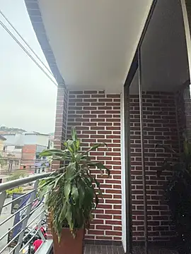 Seth_Vegaa webcam