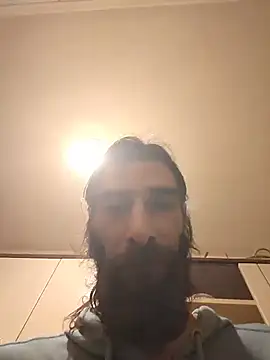 vulpe8400 webcam