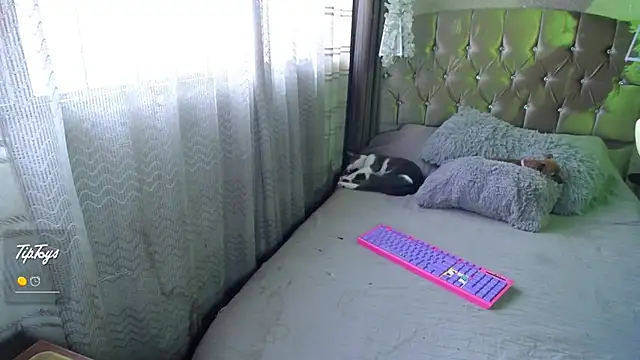 Dreams_sophi webcam