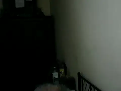 100Tauros webcam