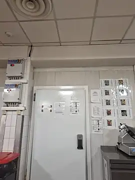MattedOdobenus webcam
