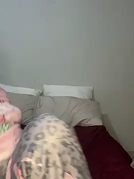 CamilaXXX20 webcam