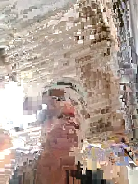 MIA-LARIOS webcam