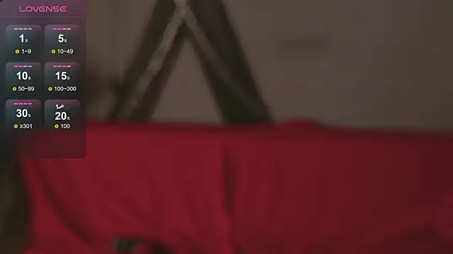 devvilss_toy webcam