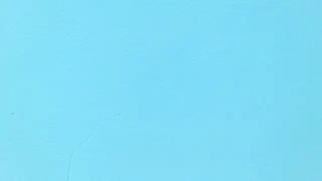 karolsweetvagi webcam