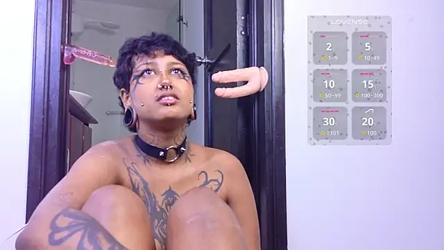 lanemugler webcam